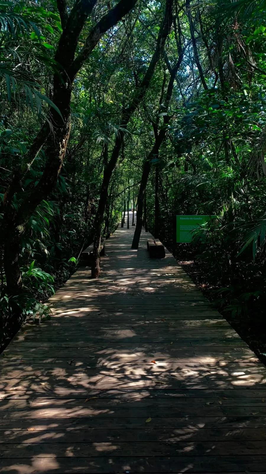 Imagem 5