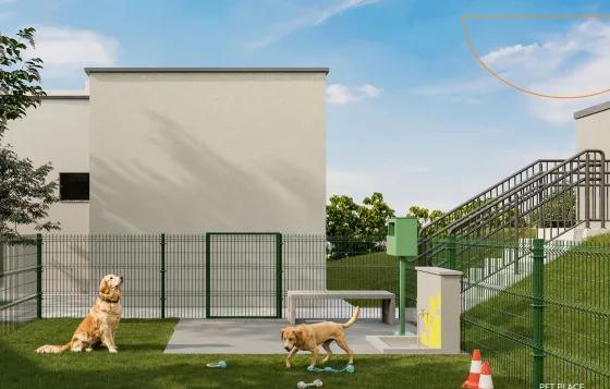 Imagem 5